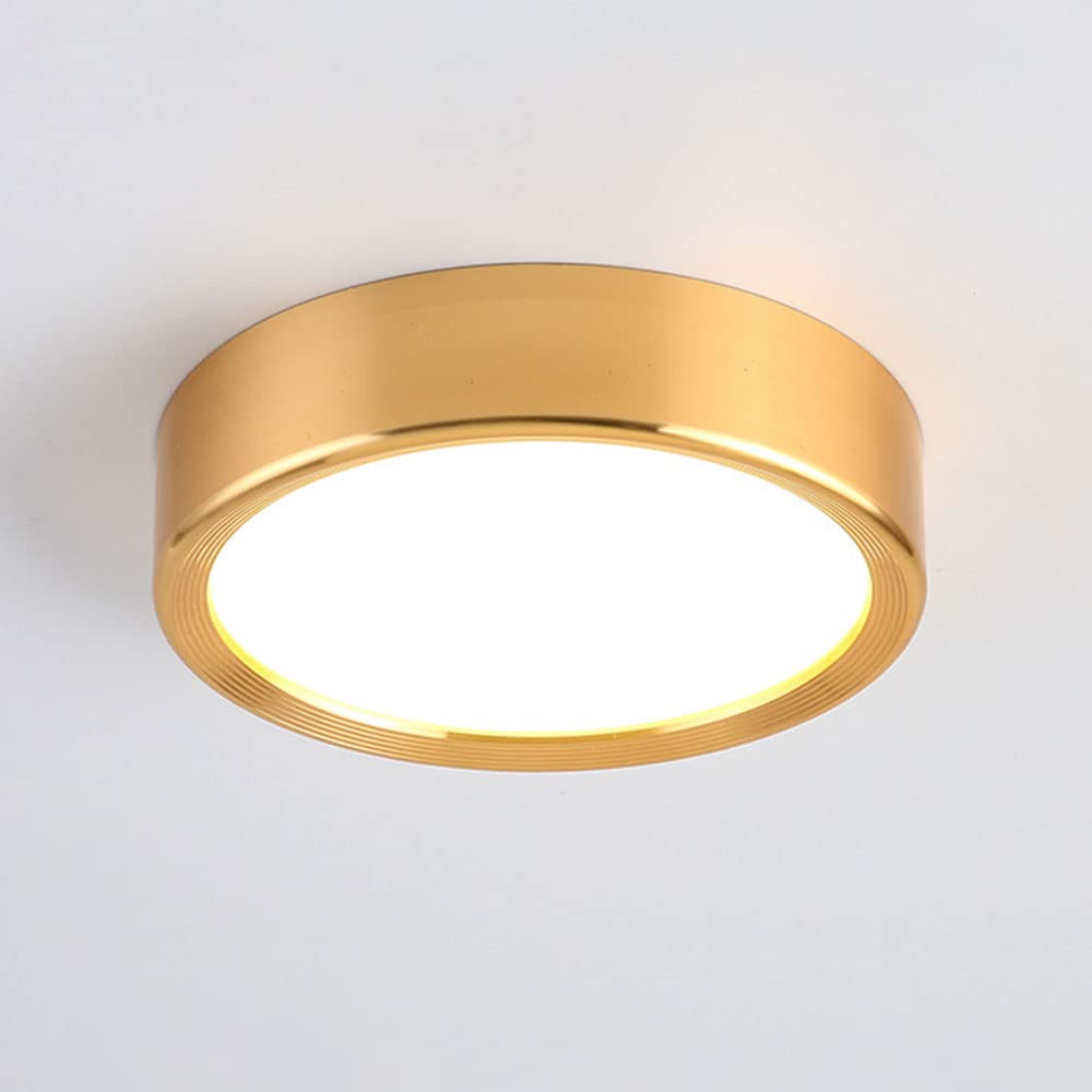 Three-Color Dimmable Ceiling Light Nordic Simple Ceiling Light Fixture Hotel Stores Hallway Ceiling Lighting Ultra Thin Round Ceiling