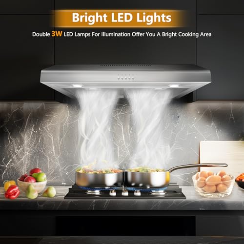 500 CFM Range Hood 30 Inch, Under Cabinet Range Hood for Duct/Ductless Convertible, Stainless Steel Kitchen Stove Vent Hood with 3 Speed Kitchen Exhaust Fan and Two Bright Energy-Saving LED Light