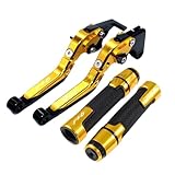 Per Ya&maha FZ6 Per Faze& 600/S/N/NA/NS FZ6N FZ6S FZ600 2004 200 Materiale: la leva è in alluminio CNC e anodizzata nello stesso colore. Ha durata e non sbiadisce.