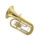 Eufonio En Si Bemol Tres Instrumentos Profesionales De Viento Metal Dorado