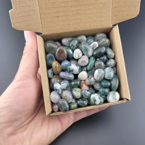 1,000 Carats Moss Agate Handpicked Tumbled Stones Crystals Chips Bulk Pocket Stones for Healing, Reiki, Meditation, Witchcraft and Home Decorations (Moss Agate)