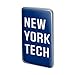 New York Institute of Technology Bears Logo Metal Rectangle Lapel Hat Pin Tie Tack Pinback