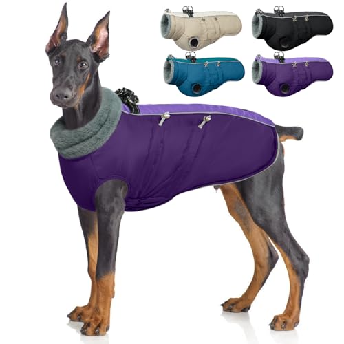 IDOMIK gpR[g n[lXt h  pWPbg ^  ^p t[X nCJ[ ~pWPbg Wbp[t ybg ~ Xm[X[c  Gߗp p[v XL