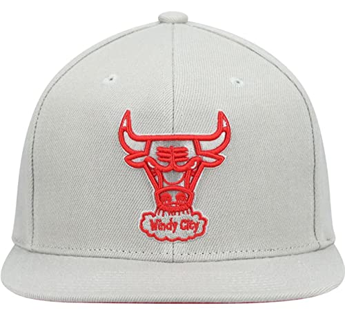 Mitchell & Ness Chicago Bulls Gorra Snapback Ajustable Gris miniatura 2