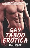 Gay Taboo Erotica: 14 Gay MM Short Stories: Forbidden Romance Collection