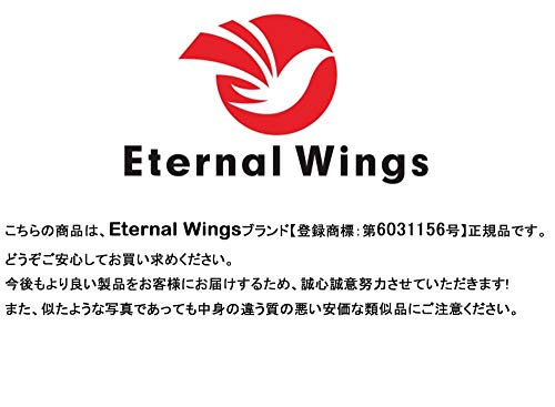 Eternal Wings メタルジグ40g/60g/80g/100g/250g ジグ 5個セット水中でのジャーク にも機敏に対応 (100g) 6枚目