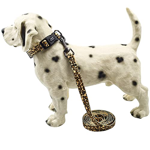 Olahibi Dog Collar And Leash Set, Leopard Pattern, Polyester Fabric Webbing, 5Ft Leash, For Medium Dogs.(Medium, Leopard) #TOP6