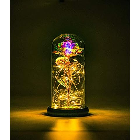 NAWEIDA Galaxy Rose Flower Gift, Infinity Rose in Glass Dome,Led Light String on The Crystal Rose,Unique Gifts for Women, Christmas, Wedding,Valentine's Day, Anniversary and Birthday Cover