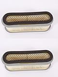 ANYTOY 93160 2 Pack Air Filter Replacement for Kawasaki 11013-2021