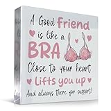 Red Ocean Friendship for Women Best Friend Birthday Acrylic Friendship Plaques For Christmas Thank You Presents Women Friends Sister Bestie BBF