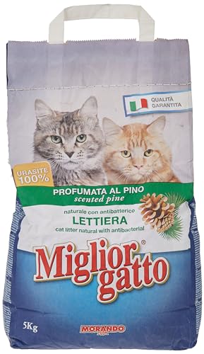 Miglior Cane Gatto Cat Litter - Scented Pine, 5kg