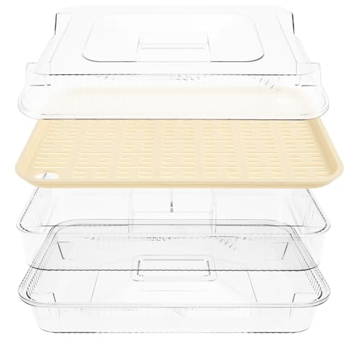 Chilled Serving Tray, 3 Layers Plastic Ice-Cold Party Platter Clear Fruit Chilled Veggie Ice Serving Tray with Lid for Parties Shrimp Cocktail, Appetizer