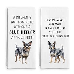 Blue Heeler