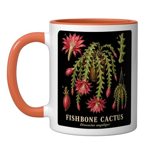 Fishbone Cactus Disocactus anguliger Anatomy Study Ceramic Mug, Orange/White