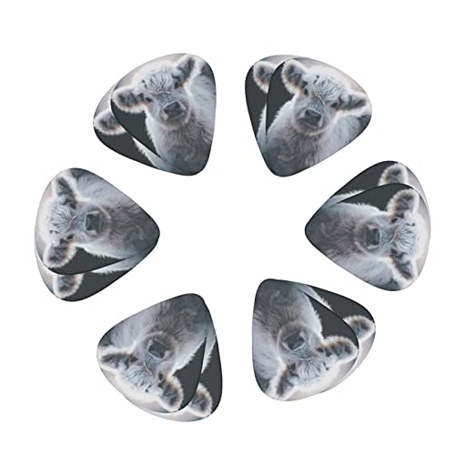 Ensemble de 12 médiators de guitare Grey Cow pour guitare acoustique, guitare électrique, contrebasse, ukulélé - Les Beatles, Paul McCartney, John Lennon, RIngo Starr, George Harrison Ensemble de 12 médiators de guitare Grey Cow pour guitare acoustique, guitare électrique, contrebasse, ukulélé – Image 3