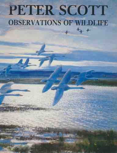 Peter Scott Observations of Wildlife 0714824372 Book Cover