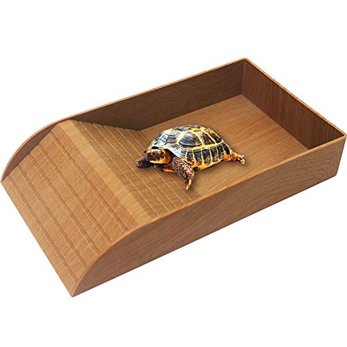 WINGOFFLY Große Reptilien-Futterschale mit Rampe und Aufstellplattform, Kunststoff, Schildkröten-Futter- und Wassernapf, auch geeignet für Badewanne, Aquarium, Lebensraum für Eidechsen, Amphibien Cover