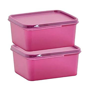 Keep Tab Small Plastic Container 500ML Lunch Box Set of 2 (Dark Pink)