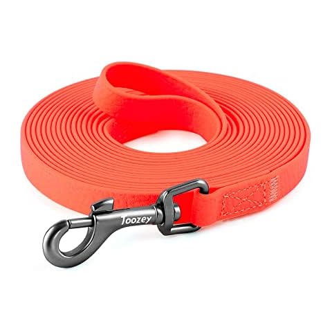 Toozey Longe pour Chien Cover