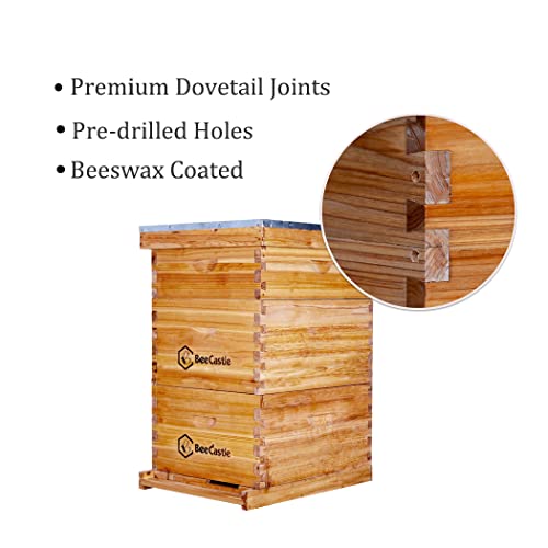 BeeCastle 8 Frame Langstroth Bee Hive Coated with Beeswax Includes Beehive Frames and Waxed Foundations (2 Deep Boxes & 1 Medium Box)