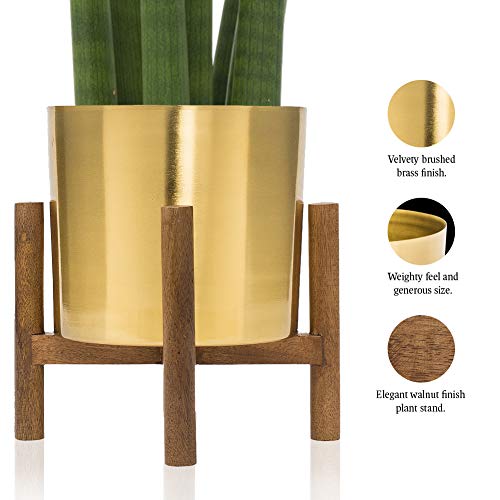 Kimisty Set 2 Gold Planter With Stand, Brass Plated 7 Inch Large Metal Pot With Wood Stand, Modern Mid Century Flower Pot Decor For Living Room, Orchid, Aloe, Cactus Plants, Indoor #TOP1