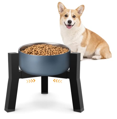 Kigaro Adjustable Single Elevated Dog Bowl Stand, Lifted Holder No Bowls
