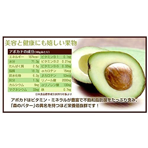 アボカド　メキシコーラグランデ　花芽付き 国華園オンラインショップ / 果樹苗 アボカド メキシコーラ