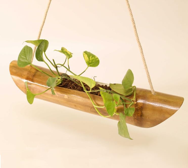 Orbit Handcraft Bamboo Wall Hanging Single Step Planter Hanging Pot Planter Wall Hanging Bamboo Planter (Boat Single Step Planter) (B0CJ5BLSHF) Amazon Price History, Amazon Price Tracker