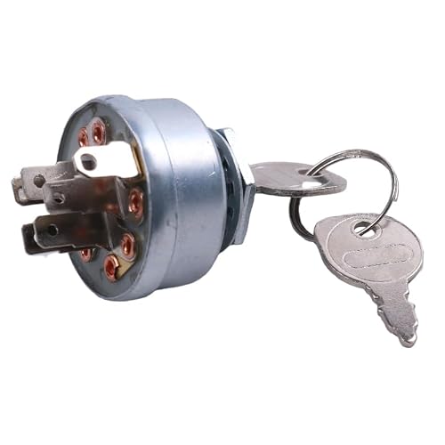 DVPARTS Ignition Key Switch Compatible with Cub Cadet MTD White Outdoor 925-3163 725-3163 925-3163A 725-3163A 725-3163P with 2 Keys Free Carabiner
