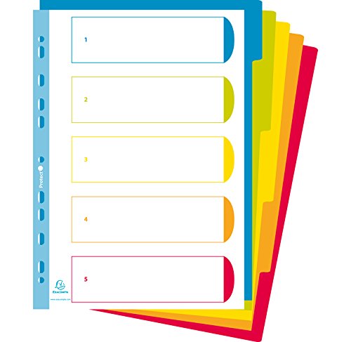 Exacompta 3805e Tabbladen en borden, 30.2 x 24,5 cm, Translucide - Image 4