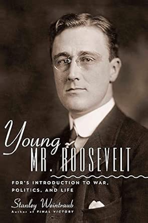 Young Mr. Roosevelt: FDR's Introduction to War, Politics, and Life book cover