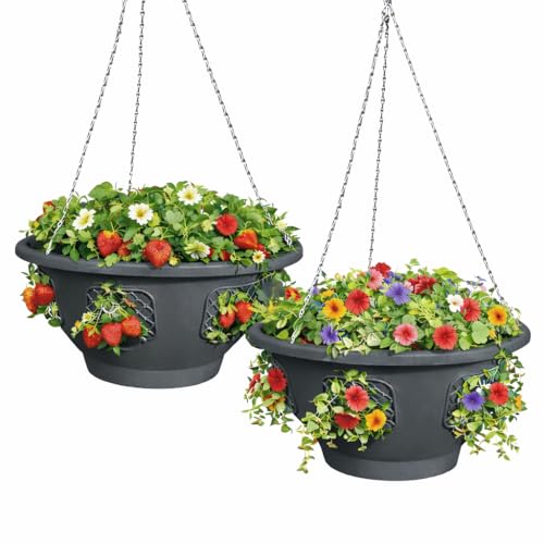 smart spring Ultimate Hanging Baskets - Strawberry Tomato Flower and Herb Outdoor Planters - Use Garden Pots for Growing Plants Outside On A Deck Fence or Balcony (2)