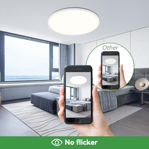 image for hepside 15.8INCH 2Pack Big Dimmable Flush Mount Ceiling Light Fixture 
