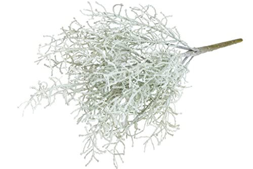 Botanic-Haus künstlicher Calocephalus (Stacheldraht Pflanze/Silberkörbchen) Farbe: grau, Höhe ca. 40 cm