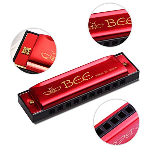 Harmonica, 2 Pièces Harmonica Enfant, Harmonica 10 Trous Harpe Diatonique -Harmonica Diatonique pour Débutants,Enfants… - Les Beatles, Paul McCartney, John Lennon, RIngo Starr, George Harrison Harmonica, 2 Pièces Harmonica Enfant, Harmonica 10 Trous Harpe Diatonique -Harmonica Diatonique pour Débutants,Enfants… – Image 6