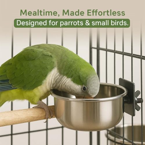 Image of Pets Empire Best Stainless Steel Birds Coop Cup Feeder Bowl (500ML X 3, COOP Cup CLAMP Holder)