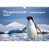 Pinguinzauber Adeliepinguine DIN A3 Kalender für 2026 Pinguin - Seelenzauber