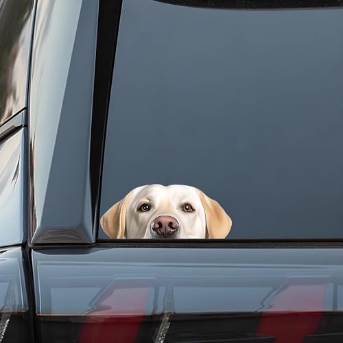 WDQFGV Labrador Peeking Dog Sticker