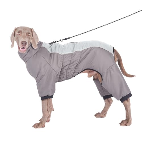 寒い天候のペットの暖かいコートミディアム、冬用の犬用スノージャケットベスト、ジッパー付きの反射防水犬用ジャケット、寒い天候の屋外活動用のハーネスホール,ブルー,2XL