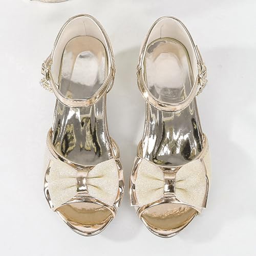 IWIHMIV Girls Sandals Low Chunky Heels Ankle Strap Toddler Girls Dress Shoes Open Toe Flower Girl Sandals for Wedding2