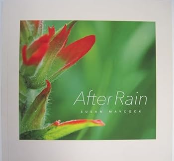 Paperback After Rain Book