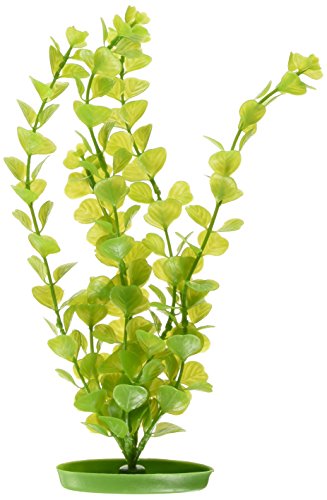 Marina Aquascaper Fish Tank Decorations, Moneywort Plant, 12-Inch, Green, 12 inches Height
