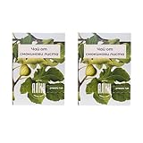 ALIN Tisane de Feuilles de Figuier – 2 x 20 Sachets Filtres (Pack de 40) – 100% Feuilles de Figuier de Bulgarie – 2 x 30g (Pack de 2)