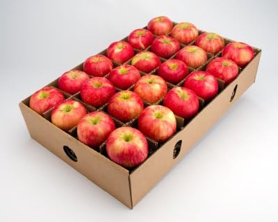 Organic Honeycrisp Apple by FruitShare