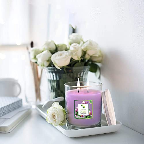 Ecoaroma Scented Candles Organic Coconut-Soy Wax. Natural Flower Extract Fragrance Oils Premium Botanical Candle Pack 2-12 Oz Jars Pineapple Coconut #TOP2