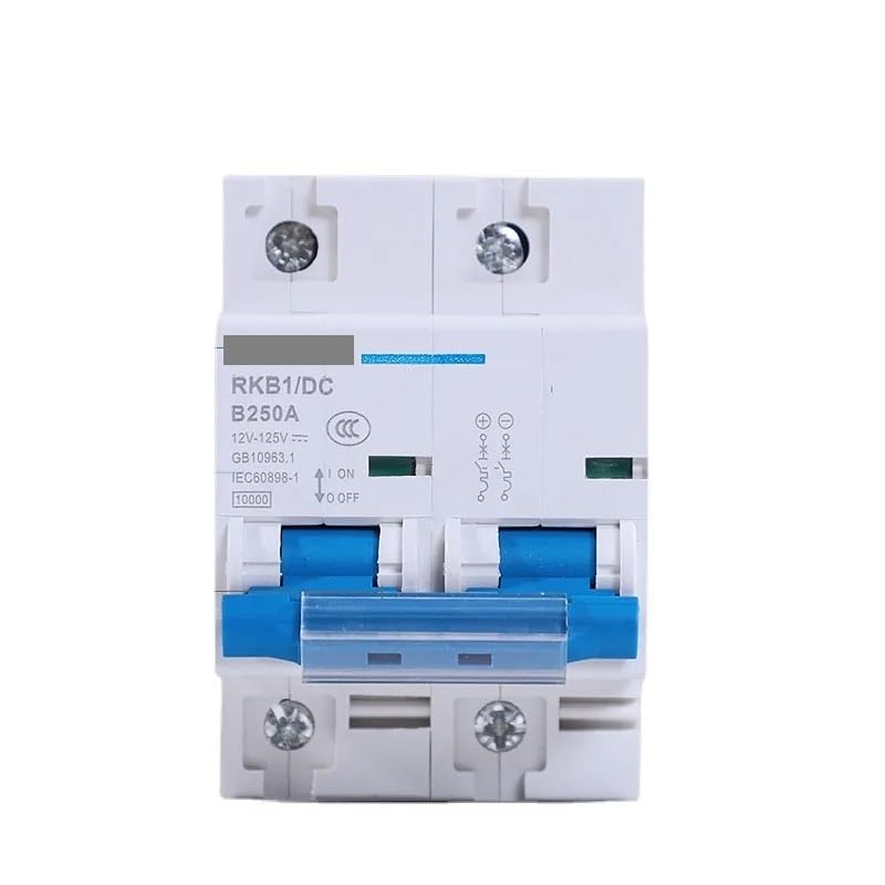 Sicherungsautomat 2P 63A 80A 100A 125A 150A 200A 250A DC-Leistungsschalter 12V 24V 48V 60V 72 96V Schutzschalter(250A)