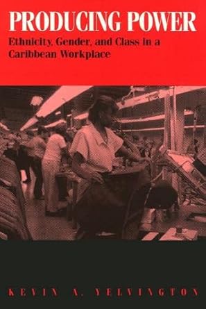 Producing Power: Ethnicity, Gender, and Class in a Caribbean Workplace