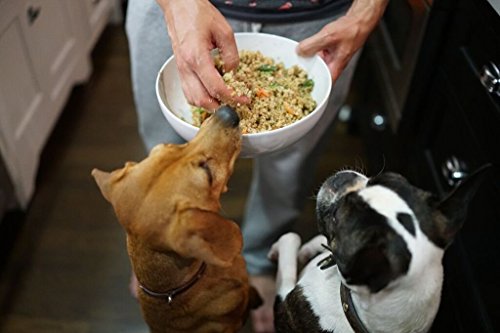 Azestfor Homemade Dog Food Supplement Dog Vitamins Made In Usa Add To Holistic Whole Food Diets Raw Barf All Breeds Puppy Adult 16Oz Powder #TOP6