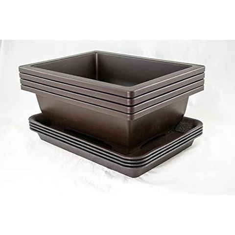 Calibonsai 4 Sets Rectangular Plastic Bonsai Training Pot, Cactus & Succulent Planter + Tray 10''x 7.5''x 3'' - Dark Brown Cover