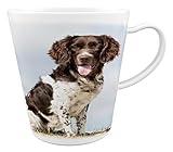 Merchandise for Fans